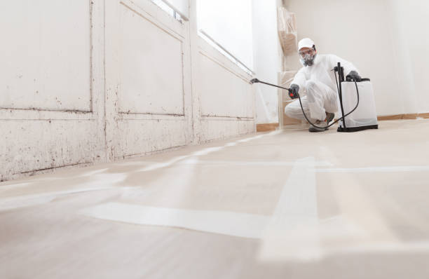 24/7 Emergency Mold Inspection experts in Mineral Point, PA